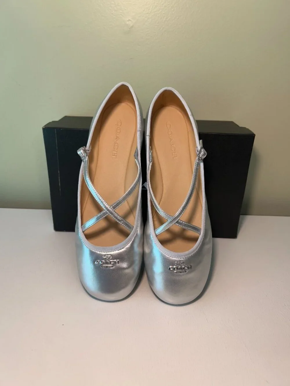 Coach Women's Phoebe Leather Ballet Flats